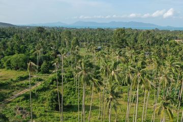 Land for sale in Mae Nam, Surat Thani