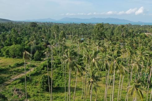 Land for sale in Mae Nam, Surat Thani