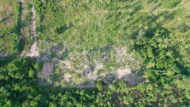 Land for sale in Mae Nam, Surat Thani