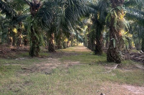 Land for sale in Cha am, Phetchaburi