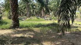 Land for sale in Cha am, Phetchaburi