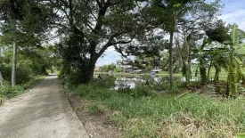 Land for sale in Bang Yai, Nonthaburi
