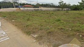 Land for sale in Nong Prue, Chonburi