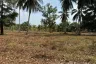 Land for sale in Na Toei, Phang Nga