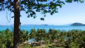 Land for sale in Pa Khlok, Phuket