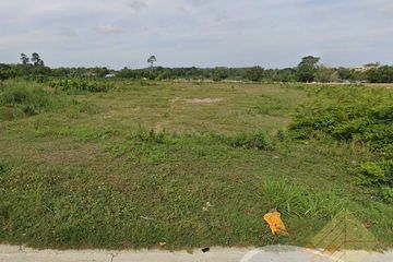 Land for sale in Nong Prue, Chonburi