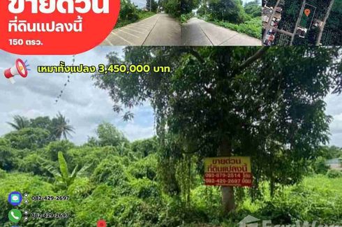 Land for sale in Bang Krang, Nonthaburi