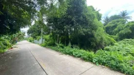 Land for sale in Bang Krang, Nonthaburi