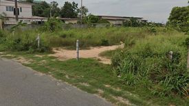 Land for sale in Nong Prue, Chonburi