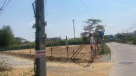 Land for sale in Nong Prue, Chonburi