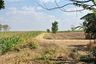 Land for sale in Khlong Muang, Nakhon Ratchasima
