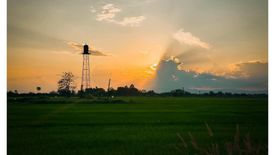 Land for sale in Huai Yap, Lamphun