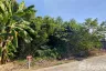 Land for sale in Phe, Rayong