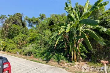 Land for sale in Phe, Rayong