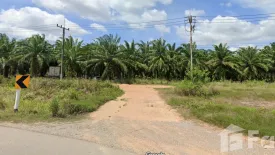 Land for sale in Tak Daet, Chumphon