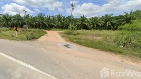 Land for sale in Tak Daet, Chumphon