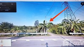 Land for sale in Nop Pring, Phang Nga