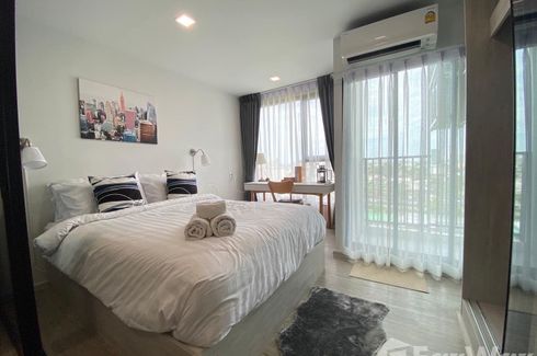 1 Bedroom Condo for rent in Kave Seed Kaset, Sena Nikhom, Bangkok near BTS Kasetsart University
