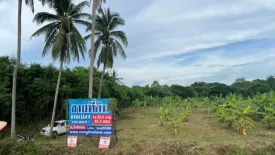Land for sale in Nai Mueang, Nong Khai