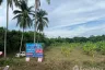 Land for sale in Nai Mueang, Nong Khai