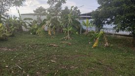 Land for sale in San Sai Luang, Chiang Mai