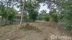 Land for sale in San Phak Wan, Chiang Mai