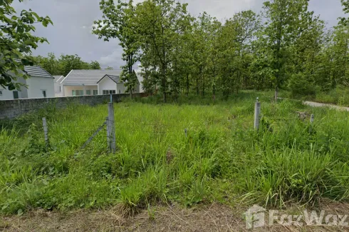 Land for sale in Nong Han, Chiang Mai