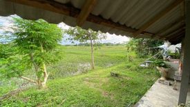 Land for sale in San Kamphaeng, Chiang Mai