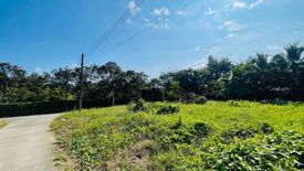Land for sale in San Sai Luang, Chiang Mai