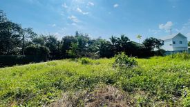 Land for sale in San Sai Luang, Chiang Mai