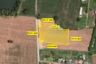 Land for sale in Huai Yai, Chonburi
