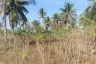 Land for sale in Khao Mai Kaeo, Chonburi