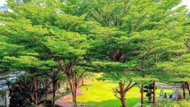 1 Bedroom Condo for sale in Waterford Sukhumvit 50, Phra Khanong, Bangkok near BTS On Nut