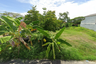 Land for sale in Bang Phra, Chonburi