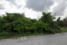 Land for sale in Nong-Kham, Chonburi