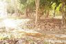 Land for sale in Huai Kaeo, Chiang Mai