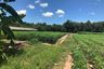 Land for sale in Bang Lamung, Chonburi