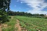 Land for sale in Bang Lamung, Chonburi