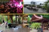 42 Bedroom Hotel / Resort for sale in Bang Lamung, Chonburi