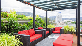 Condo for sale in The Charm Residence, Patong, Phuket