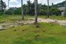 Land for sale in Choeng Thale, Phuket
