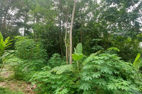 Land for sale in Chalong, Phuket