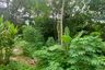 Land for sale in Chalong, Phuket