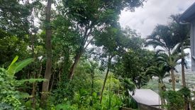 Land for sale in Chalong, Phuket