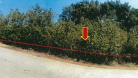 Land for sale in Kamala, Phuket