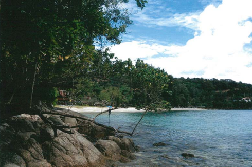 Land for sale in Kamala, Phuket