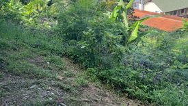 Land for sale in Karon, Phuket