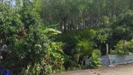 Land for sale in Choeng Thale, Phuket