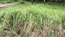 Land for sale in Pa Khlok, Phuket