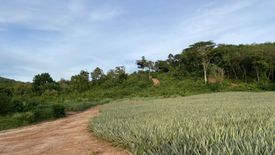 Land for sale in Mai Khao, Phuket